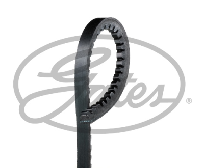 DİREKSİYON POMPA KAYIŞI 13x800 A6 AAE 2,0