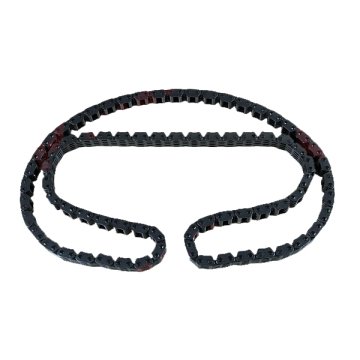 EKSANTRİK ZİNCİR MGN III-SCENIC III (H4J 700)