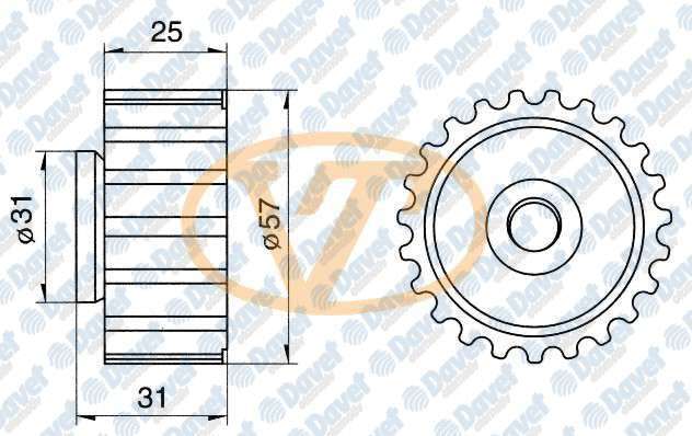 TRIGER GERGI RULMANI ( MAZDA 323 1.5 16V 96>98 )