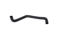 RADYATOR HORTUMU ALT  ( RENAULT : MEGANE II / SCENIC II 1.5 DCI 02>08)