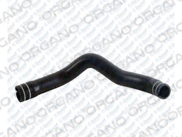 RADYATOR UST HORTUMU PALIO YM