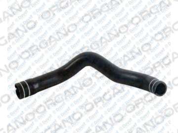 RADYATOR UST HORTUMU PALIO YM