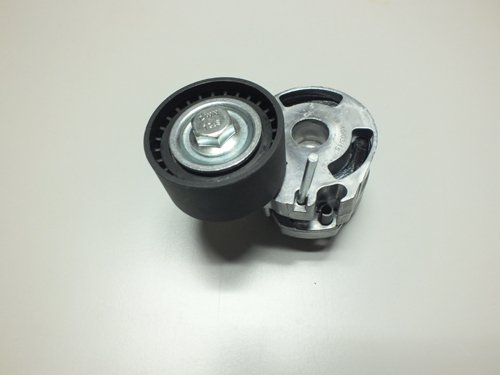 Alternatör Gergi Rulmanı (Kütüklü) P206 1.4Hdı-407-Partner 1.6 Hdı-C3 1.6 16V-C5 1.6Hdı-Berlıngo 1.6