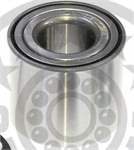 TEKER RULMANI ARKA CLIO III MODUS MEGANE II