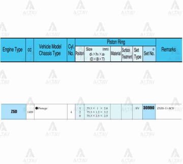 SEGMAN 323  96-98 1.5 / 75.30mm / Z5 / STD TAKIM