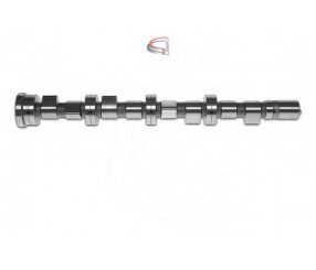 EKSANTRİK MİLİ EMME DUCATO-MASTER 2.3 JTD