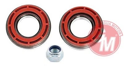 ÖN TEKER RULMANI RENAULT 12 YM TOROS (620507 SET )