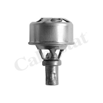 TERMOSTAT R12 75C (V1324)