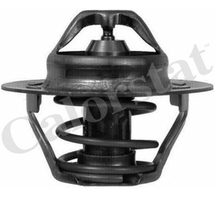 TERMOSTAT (89C) MEGANE I-II-R19-CLIO II-1.4-1.6 16V-KANGOO-LAGUNA I-II 1.9DCI C2 DACIA