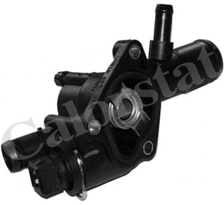 TERMOSTAT (KOMPLE) CLIO-MGN-KNG-LOGAN 1.5 DCI (89C)