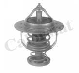 Termostat (Hyundaı: H100 Kamyonet 97> / Starex 97> / H100 Kamyonet 04> 2.5Tcı / H1 2.5 Crdı  08> / Kıa: Bongo K2500 )