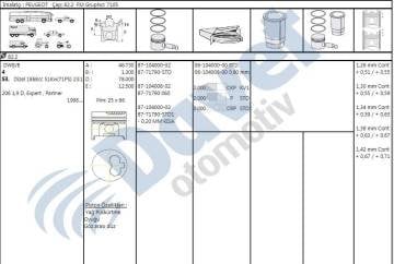 Pıston + Segman 100 82.2Mm Peugeot Fıat Partner Scudo Dw8