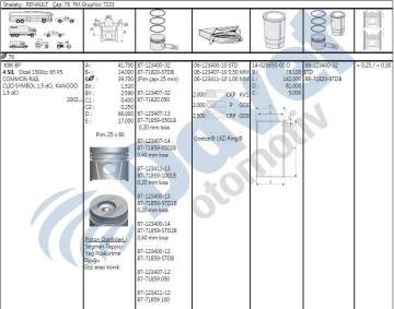 Pıston + Segman 050 89Mm Master Iı Movano 2.5Dcı 01-> G9U