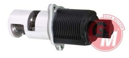 EGR VALFİ RENAULT CLIO 2-KANGOO-MEGAN 2 1.5DCI MASTER 2-LAGUNA 2.2 00> K9K