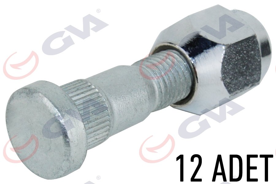 BİJON SAPLAMA SOMUN TAKIMI SAĞ KAMYONET H100( E.M. ) (PAKET 12)