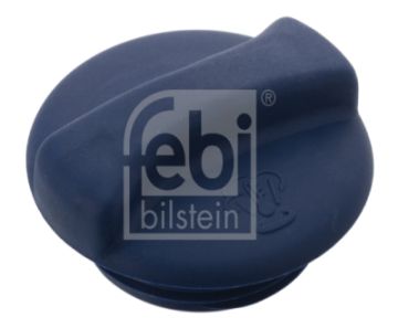 Radyatör Yedek Su Depo Kapağı  Golf3-Classic-T4-Polo Bm