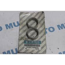 Eksantrik Yatağı Palıo