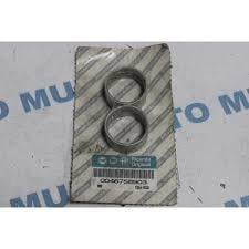 Eksantrik Yatağı Palıo