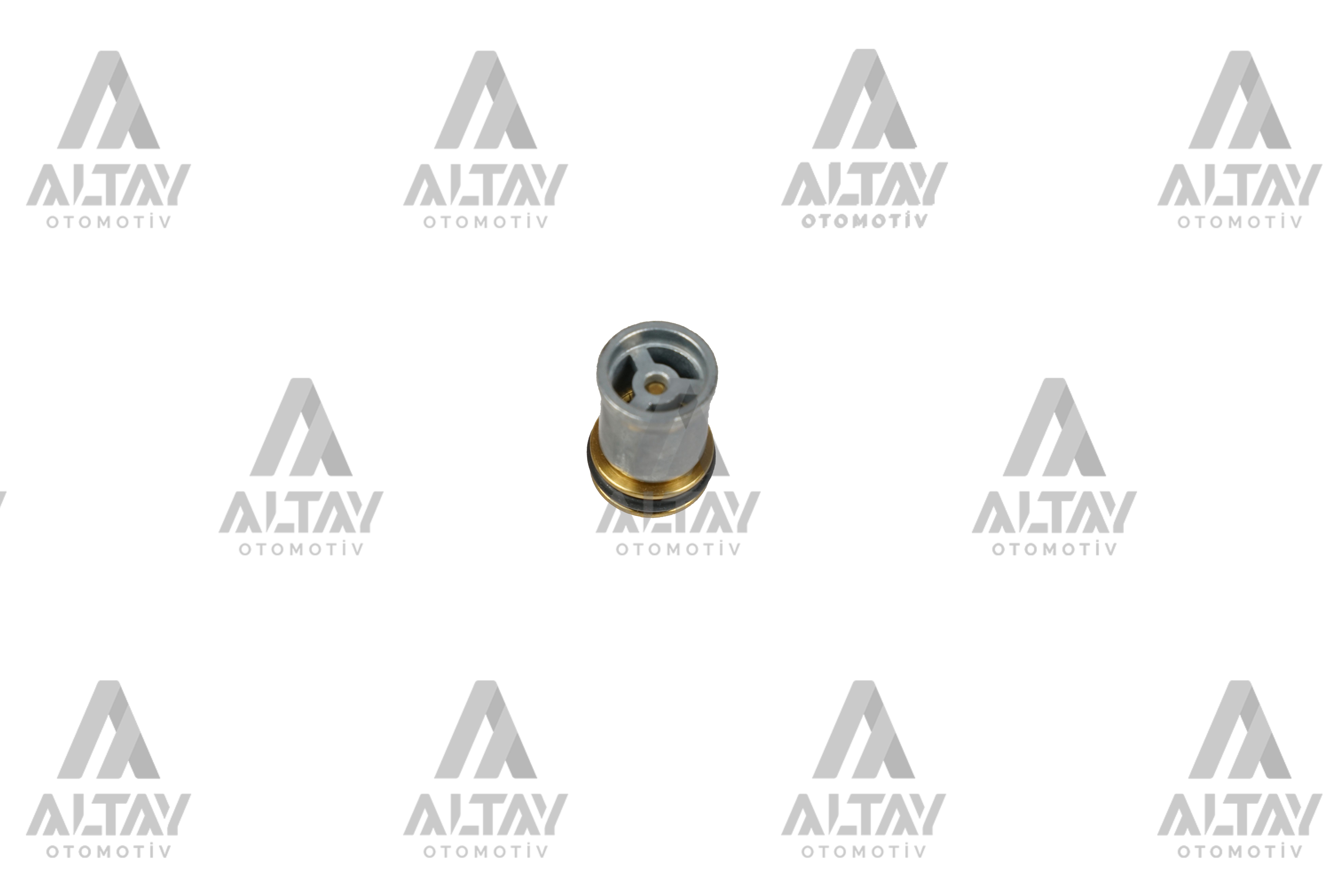 ÇEK VALF (SİLİNDİR KAPAĞI) A4 / A5 / A6 / Q5 08-14 1.8-2.0