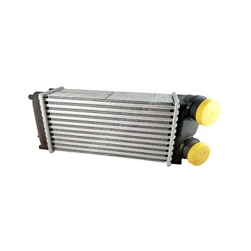 Turbo Radyatörü (Intercooler) C4-C4 Pıcasso-P307-P307 Sw (Al/Pl/Brz) (300X147X85)