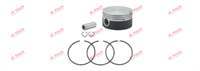 KOMPRESOR PISTON+SEGMAN 100,00 STD MAN E2000-F2000-TGA-TGL-TGM-TGS-TGX