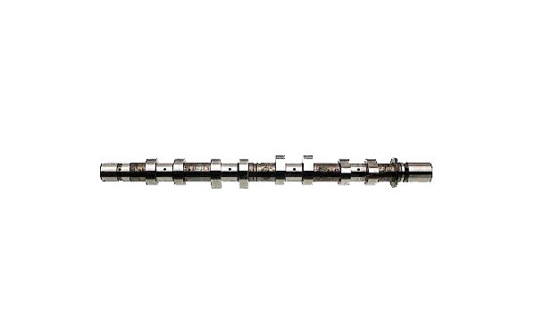 (8200100527) EKSANTRİK MİLİ EMME MGN 1.4-1.6 16V (K4M-K4J) xC