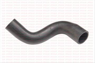 Hortum Radyator Alt ( Chevrolet : Aveo 09-11 )