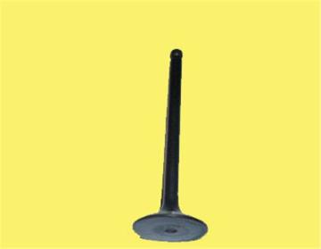 Subap Takım (Emme / Egsoz) Karsan J10 J10 Premıer Maxı 2,3Jtd Ducato Iıı Iveco Daıly 2,3Jtd 120 Commonraıl (In 8 / Ex 8) Olcu: (30×6 * 120,4) / (30×6 * 120,4)