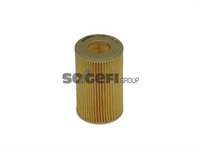 YAG FILTRESI ( RENAULT: CLIO II-KANGOO-TWINGO 1.2)