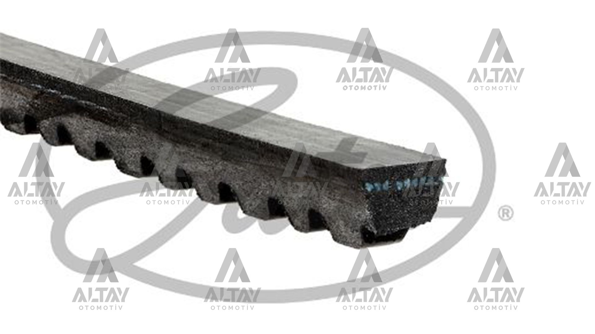 KANALLI KAYIŞ ESCORT-CL 92=> 1.6 CVH