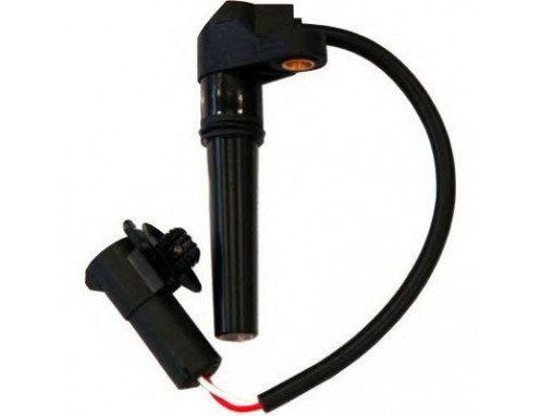 Vites Kaptöru Clıo Iı