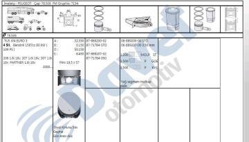 MOTOR PISTON+SEGMANI P307-P206-PARTNER II-BERLINGO II-C3-C4- TU5JP41,6 16V 79,00MM 0,50 FARKLI