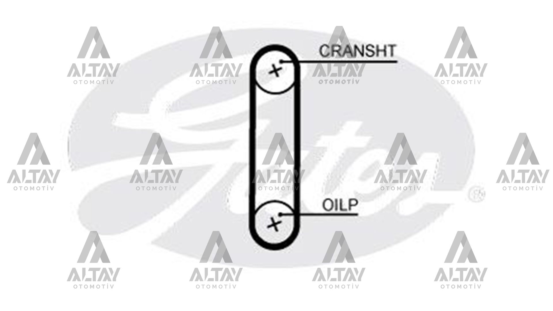 YAĞ POMPA KAYIŞI FOCUS / MONDEO / FİESTA / C-MAX 11=> 1.0 FOX