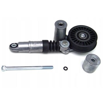 ALTERNATÖR GERGİ RULMANI (KÜTÜKLÜ/AMORTİSÖRLÜ) PASSAT-A4-A6-SUPER B-GOLF-BORA 1.9TDI-2.0TDI