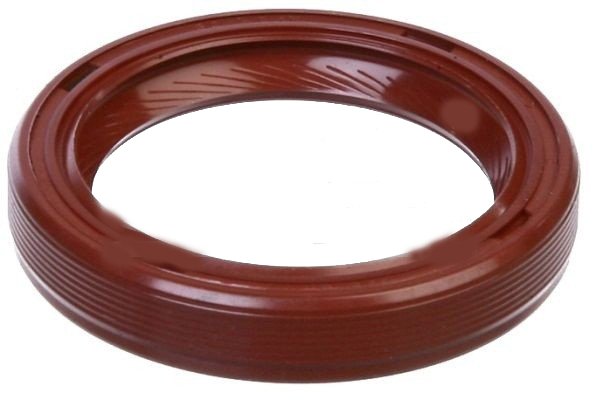 EKSANTRİK ARKA KAPAK KEÇESİ EXPRESS-LGN-R9-R21-R19 1.6-1.9 DZL (30x40x7)