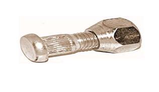 ÖN BİJON VE SOMUNU ERA