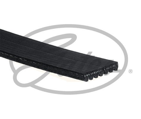 KANALLI KAYIS MOVANO 2,2CDTI 2,5CDTI 16V (03 06) RENAULT MASTER 2,2DCI 2,5DCI 16V (97 06)