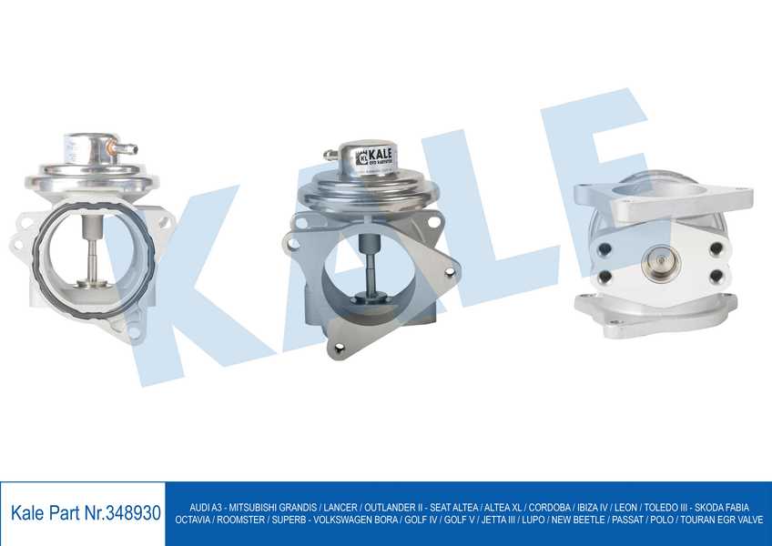 EGR VALFI GOLF IV V BORA 00>05 POLO 1,9TDI JETTA III PASSAT 05> 1,9 2,0TDI BKC BXE BKD AXR BLT
