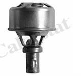 TERMOSTAT 75 C V1324 (RENAULT: R12)