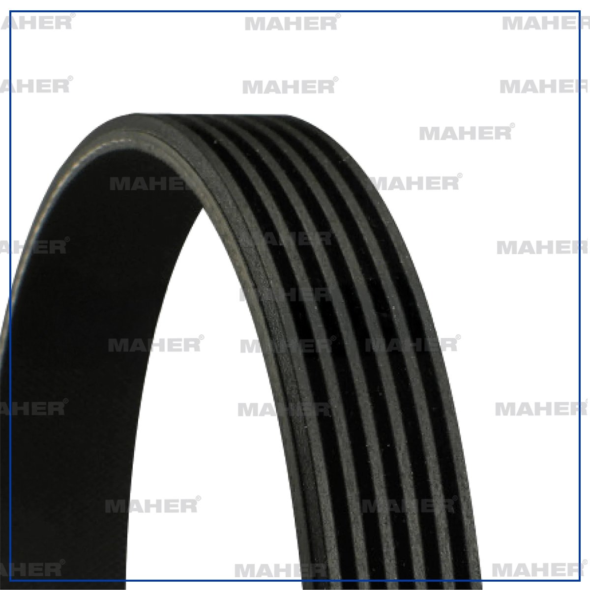 KANALLI KAYIŞ FOCUS 04-12 1.6TDCI / 307 1.4HDI / JAGUAR / SUZUKI BOLENO 96-02 1.6