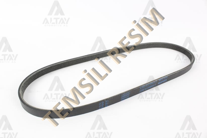 KANALLI KAYIŞ JAGUAR / X-TYPE 2.1 2.5 3.0 V6 01-09