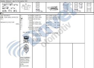 Pıston + Segman Std 76Mm Megane Iı 1.5Dcı K9K 728 -0.20Mm