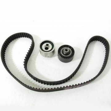 TRIGER KAYIS SETI  (PEUGEOT: PARTNER / CITROEN: BERLINGO-JUMPY-XSARA 1.9D 98-)