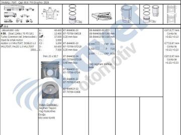 PISTON + SEGMAN STD 69.6MM 40 DUSUK DOBLO 1.3 MJT