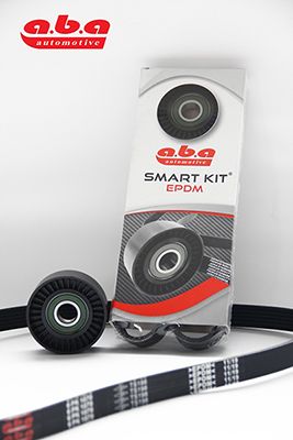 ALTERNATÖR GERGİ KİTİ MASTER II-TRAFIC II-LGN II-III-MOVANO-VIVARO 1.9DTI-2.2-2.5DCI-2.0 16V(G9U) (25201404 + 6PK1778)