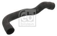 RADYATOR ALT HORTUMU BMW E53 M54 M57 M62