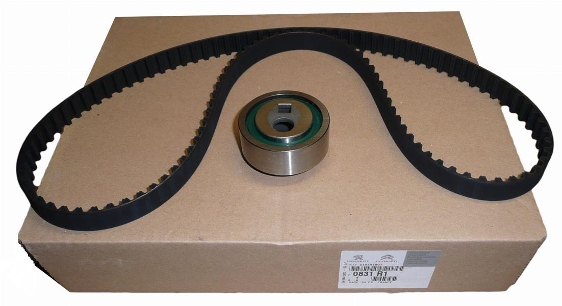 Eksantrik Gergi Kiti (114X170) P205-P306-P405-P406-P605-Xantıa-Bx