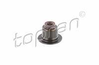 Subap Lastıgı (Egzoz) (Volvo : C30 / S40 / V50 1.6 05-12)(P1) (B4164S3)